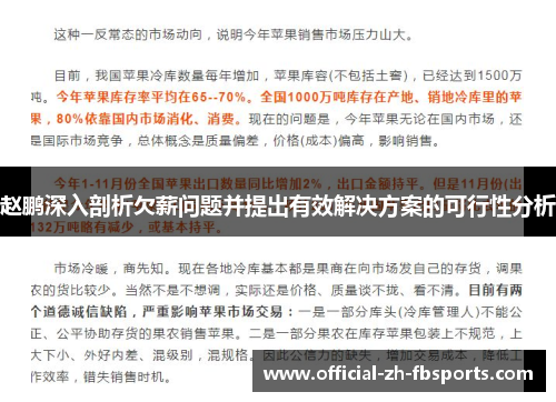 赵鹏深入剖析欠薪问题并提出有效解决方案的可行性分析