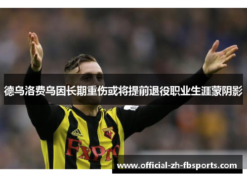 德乌洛费乌因长期重伤或将提前退役职业生涯蒙阴影 德乌洛费乌因长期重伤或将提前退役职业生涯蒙阴影